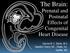 The Brain: Prenatal and Postnatal Effects of Congenital Heart Disease. Dianna M. E. Bardo, M D Swedish Cherry Hill Radia, Inc.