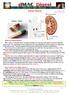 Kidney Stones. Duncan MacDonald Jakarta 6 February Page 1 of 5