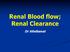 Renal Blood flow; Renal Clearance. Dr Sitelbanat