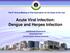 Acute Viral Infection: Dengue and Herpes Infection