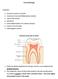 Oral pathology. General structure of teeth