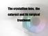 The crystalline lens, the cataract and its surgical treatment