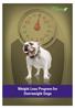 Weight Loss Program for Overweight Dogs
