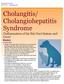 Cholangitis/ Cholangiohepatitis Syndrome (Inflammation of the Bile Duct System and Liver) Basics