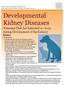 Developmental Kidney Diseases