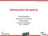 PHC, Paris, 30th Jan 2017 PATHOLOGY OF NAFLD. Pierre Bedossa. Departement of Pathology Hôpital Beaujon University Paris-Diderot Paris - FRANCE