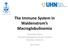 The Immune System in Waldenstrom s Macroglobulinemia