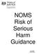 NOMS Risk of Serious Harm Guidance