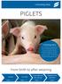 PIGLETS. From birth to after weaning. Supplement and equipment. 1 week before and after weaning. Page 6-7