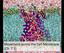 Movement across the Cell Membrane (Ch. 7.3)