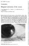 Marginal ulceration of the cornea