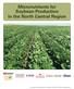 Micronutrients for Soybean Production in the North Central Region