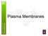 Plasma Membranes. Plasma Membranes WJEC GCE BIOLOGY 4.6