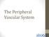 The Peripheral Vascular System