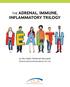 THE ADRENAL, IMMUNE, INFLAMMATORY TRILOGY. by Glen Depke, Traditional Naturopath Clinical and nutritional advisor for CLA