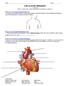 CIRCULATORY WEBQUEST L.E. Biology (PART I: Introduction, Parts of the Heart, and Pathway of Blood)