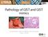 Pathology of GIST and GIST mimics. Eva Wardelmann, Institute of Pathology, University Hospital Cologne, Germany