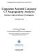 Computer Assisted Coronary CT Angiography Analysis