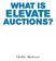 WHAT IS ELEVATE AUCTIONS?