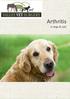 Arthritis. in dogs & cats