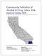 Community Indicators of Alcohol & Drug Abuse Risk Imperial County 2004