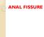 Anterior anal fissure is much more common in women and may arise following vaginal delivery.