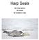 Harp Seals. By:Carly Spence 5th Grade Mr.Goldfarb s Class