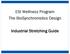 ESI Wellness Program The BioSynchronistics Design. Industrial Stretching Guide