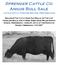 Sprenger Cattle Co. Angus Bull Sale. Cattle with a Purpose Beyond Performance