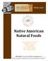 Native American Natural Foods