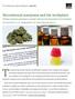 Recreational marijuana and the workplace: Policies and best practices to comply with the law and protect your business