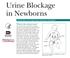 Urine Blockage in Newborns