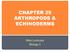 CHAPTER 29 ARTHROPODS & ECHINODERMS. Miss Loulousis Biology II