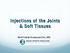 Injections of the Joints & Soft Tissues. Matthew Kanaan DO, MS