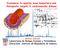 Proteomics to identify novel biomarkers and therapeutic targets in cardiovascular disease