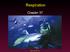 Respiration. Chapter 37. Mader: Biology 8 th Ed.