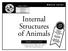 Internal Structures of Animals