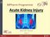 WEEK. MPharm Programme. Acute Kidney Injury. Alan M. Green MPHM13: Acute Kidney Injury. Slide 1 of 47