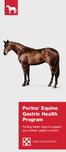 Purina Equine Gastric Health Program. Finding better ways to support your horses gastric comfort