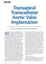 Aortic Valve Implantation