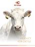 AB Kauno Grudai can offer: high quality premixes protein concentrates licks for cattle pre starter feed raw materials for feed industry.