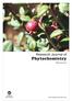 Research Journal of. Phytochemistry ISSN