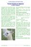 Facial Eczema in Alpacas & other livestock