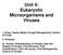 Unit 4: Eukaryotic Microorganisms and Viruses