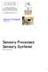 Sensory Processes Sensory Systems