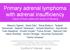 Primary adrenal lymphoma with adrenal insufficiency : report of three cases and review of literature