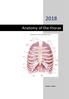 Anatomy of the thorax