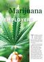 Marijuana. The legalization of marijuana EMPLOYERS. The Implications. Legalization to