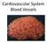 Cardiovascular System Blood Vessels