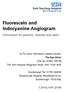 Fluorescein and Indocyanine Angiogram